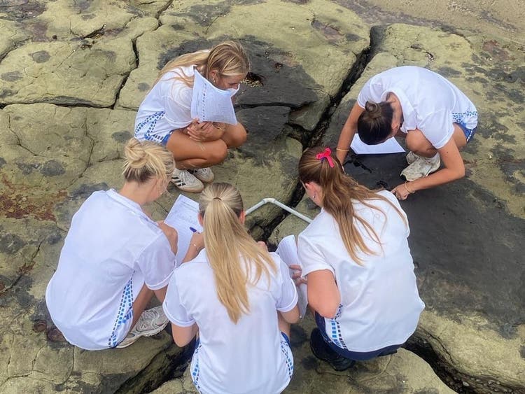 Group of girl students studying an ocean rock platform