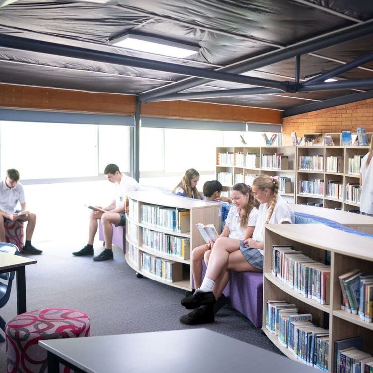 Senior students reading in the library